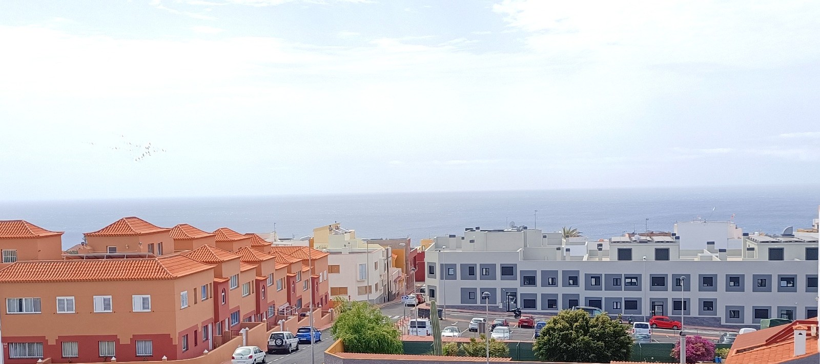 banner-image