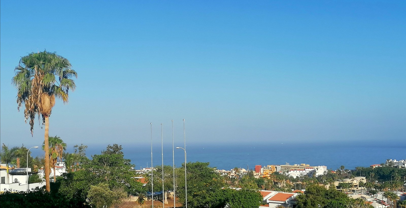 banner-image